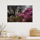 Azalia en Magnolia Poster (Keuken)