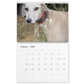 AZAWAKH CALENDAR 2016 KALENDER (Feb 2026)