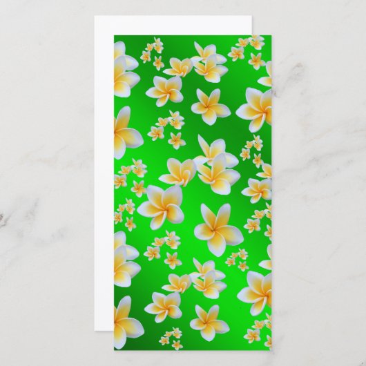 Aziatisch, geel, wit, bloei, helder, goud, bloem (Voorkant / Achterkant)