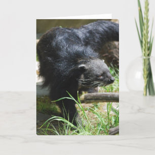 Aziatisch Wenskaart Bearcat Kaart