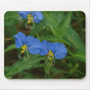 Aziatische dagbloem blauwe wilde bloem kleding & g muismat