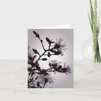 Aziatische Geïnspireerde Magnolia Kaart