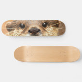 Aziatische kleingeestig otter skateboard (Horizontaal)