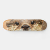 Aziatische kleingeestig otter skateboard (Horizontaal)