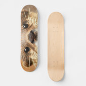 Aziatische kleingeestig otter skateboard (Voorkant)