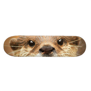 Aziatische kleingeestig otter skateboard