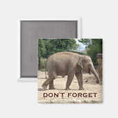 Aziatische olifant Bewaar de datum magneet (Voorkant / Achterkant)