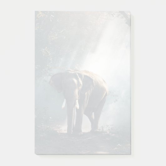 Aziatische olifant in een Sunlit Forest Clearing Post-it® Notes (Voorkant)