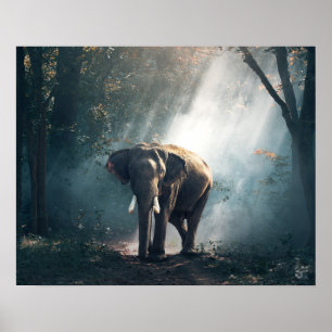 Aziatische olifant in een Sunlit Forest Clearing Poster