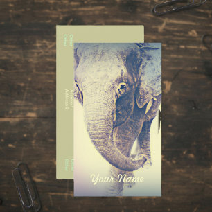 Aziatische Olifant in Vintage Kleuren Visitekaartje