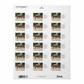 Aziatische olifant lopen op zand lijm label (Full Sheet)