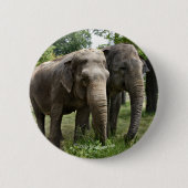 Aziatische olifanten Naast elkaar Ronde Button 5,7 Cm (Voorkant)