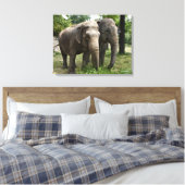 Aziatische olifanten zij aan zij canvas afdruk (Insitu (Slaapkamer))