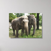 Aziatische olifanten zij aan zij canvas afdruk (Voorkant)