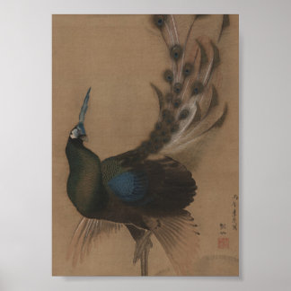  Aziatische Peacock Art Print