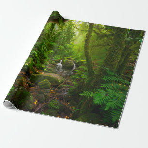 Aziatische tropische regenwouden, bos, milieu cadeaupapier