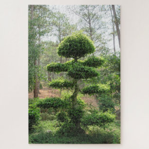 aziatische, vietnamese, kunst, beeldhouwkunst, boe legpuzzel