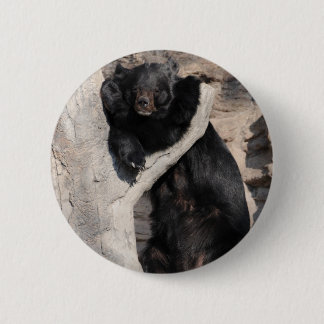 Aziatische zwarte Beer Ronde Button 5,7 Cm