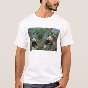 Azië, China, Chengdu. Reuzenpanda reservaat T-shirt