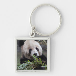 Azië, China Chongqing. Reuzenpanda Sleutelhanger
