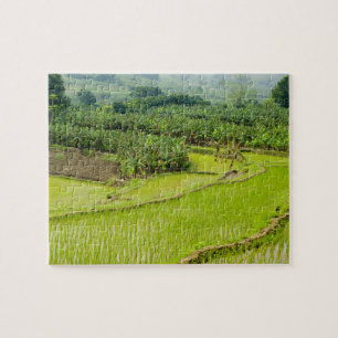 Azië, China, de provincie Yunnan, Honghe. Banana Legpuzzel