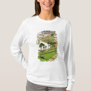 Azië, China, Yunnan, Honghe.  Rijstterrassen nabi T-shirt