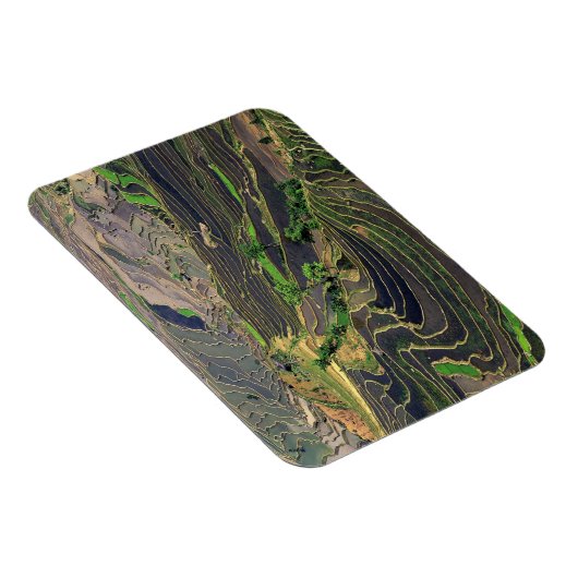 Azië, China, Yunnan, Honghe. Rijstterrassen nabij Magneet (Rechterzijde)