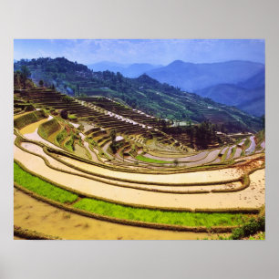 Azië, China, Yunnan Provincie, Yuanyang County. Poster