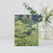Azië, China, Yunnan, Yuanyang. Groen patroon Briefkaart (Staand voorkant)