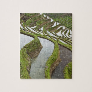 Azië, China, Yunnan, Yuanyang. Overstromde rijst Legpuzzel