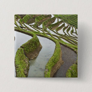 Azië, China, Yunnan, Yuanyang. Overstromde rijst Vierkante Button 5,1 Cm