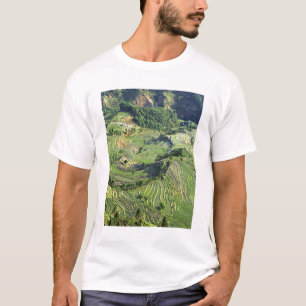 Azië, China, Yunnan, Yuanyang. Patroon van groen T-shirt