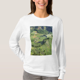 Azië, China, Yunnan, Yuanyang. Patroon van groen T-shirt