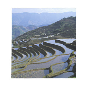 Azië, China, Yunnan, Yuanyang. robuust Notitieblok