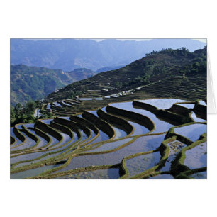 Azië, China, Yunnan, Yuanyang. Ruw
