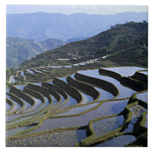 Azië, China, Yunnan, Yuanyang. Ruw Tegeltje