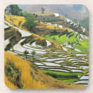 Azië, China, Yunnan, Yuxi Prefectuur; Yuanjiang. Bier Onderzetter