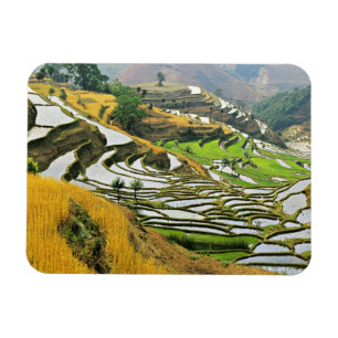 Azië, China, Yunnan, Yuxi Prefectuur; Yuanjiang. Magneet