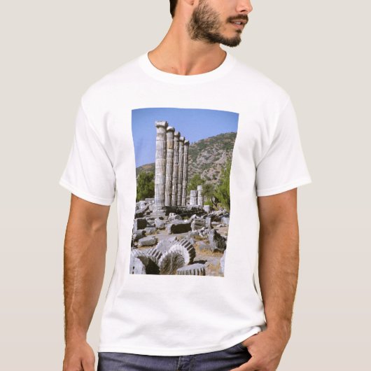 Azië, het Midden-Oosten, Turkije, Ephesus. Tempel T-shirt (Voorkant)
