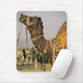 Azië, India, Pushkar. Camel Shamu , Pushkar Muismat (Met muis)