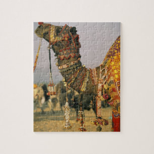 Azië, India, Pushkar. Kameel Shamu, Pushkar Legpuzzel