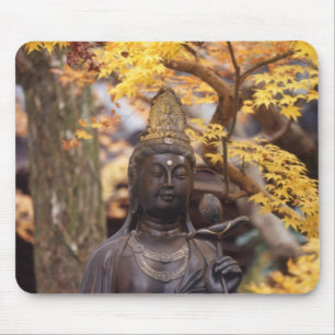 Azië, Japan, Boeddha Muismat