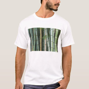 Azië, Japan, Kyoto, Arashiyama, Sagano, Bamboe T-shirt