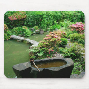 Azië, Japan, Kyoto. Zen-tuin Muismat