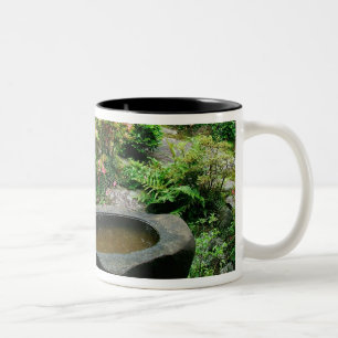 Azië, Japan, Kyoto. Zen-tuin Tweekleurige Koffiemok