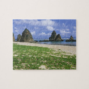 Azië, Japan, Okinawa, Yambaru-kustlijn, Zee Legpuzzel