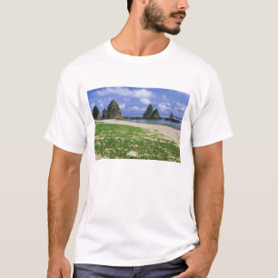 Azië, Japan, Okinawa, Yambaru-kustlijn, Zee T-shirt