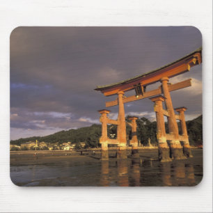 Azië, Japan, westelijk Honshu, Miya, Jima-eiland, Muismat