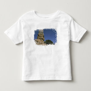 Azië, Jemen, Wadi Dhar. Rotspaleis, of Dar Al Kinder Shirts