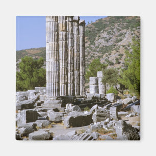 Azië, Midden-Oosten, Turkije, Efeze. Tempel van Magneet